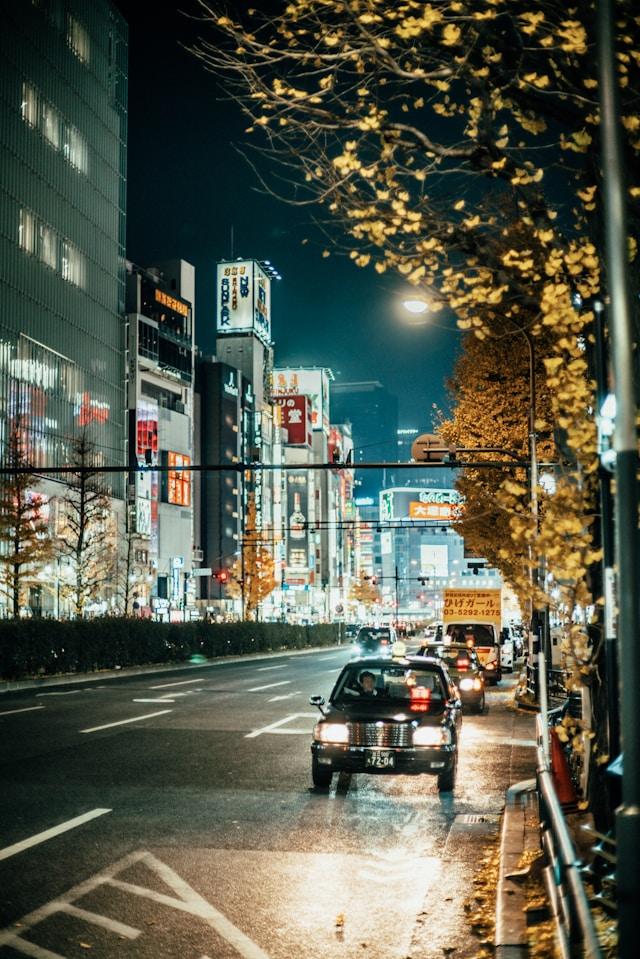 Tokyo journey